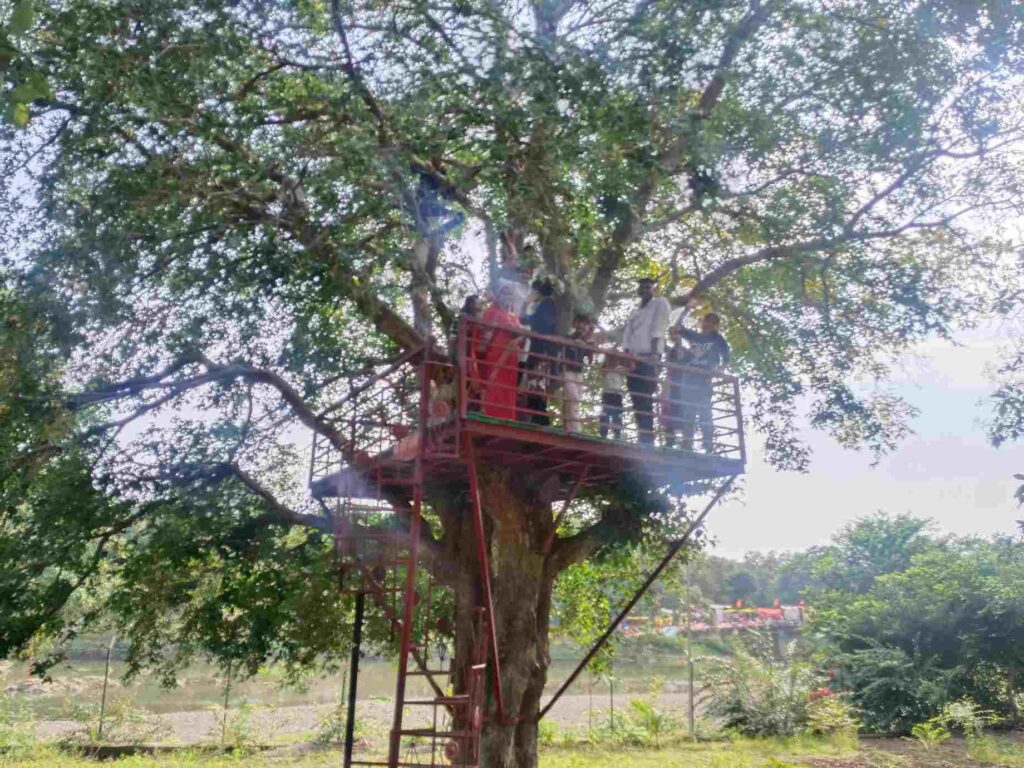 Badwah Nagar Van Tree House, Water Fountain, Educational Panels, Outdoor Gym, Kids Play Area, Local Wildlife and Botanical Trees
