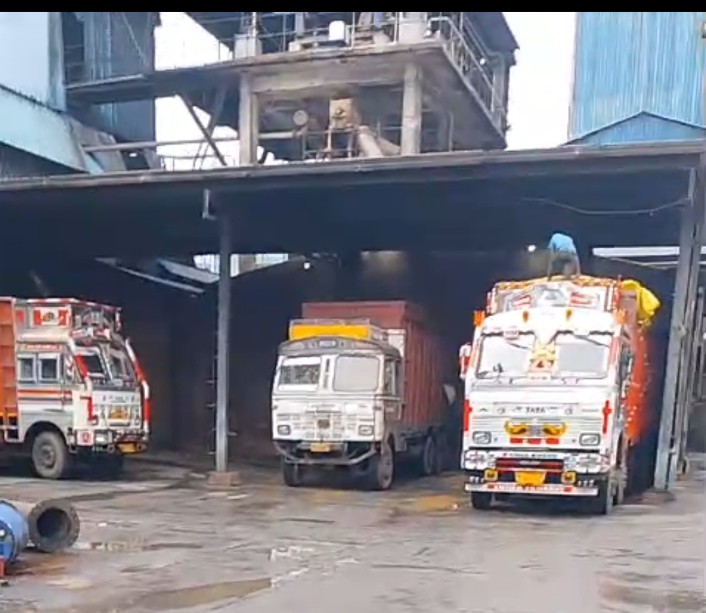 Badwah pashupalak feeding DWGS instead of khali due to high prices | toxic wet grain solids impact on cattle health