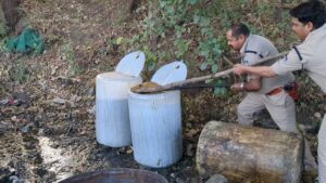 अवैध शराब माफियाओं पर बड़वाह पुलिस का कड़ा प्रहार, जंगलों में चल रही भट्टियां ध्वस्त