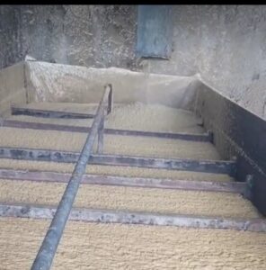 कई महीनो की पड़ताल: शिकायतें, जांच और जमीनी हकीकत के बीच उलझा DWGS मामला