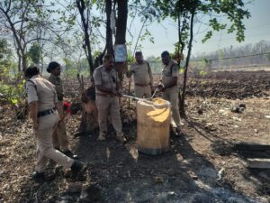 द इंडिया स्पीक्स के सवाल के 24 घंटे में एक्शन! जंगलों में धधकती मिलीं कच्ची शराब की भट्टियां, 6000 लीटर लहान नष्ट